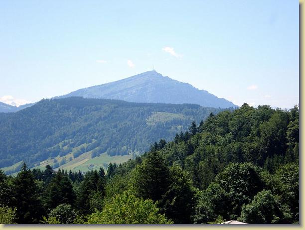 N&auml;chstes Bild