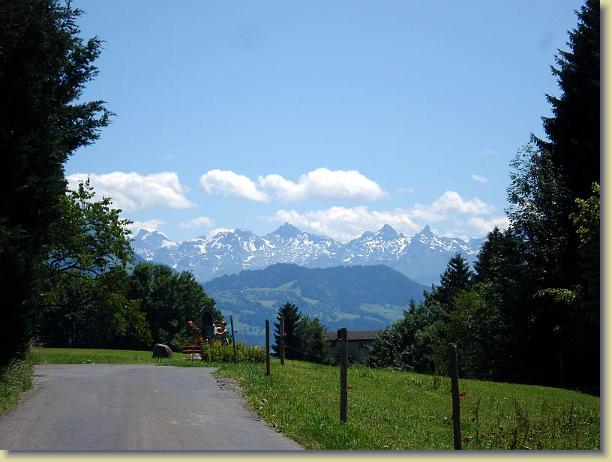 N&auml;chstes Bild